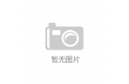能源” 打开房车文旅 “移动生活” 新想